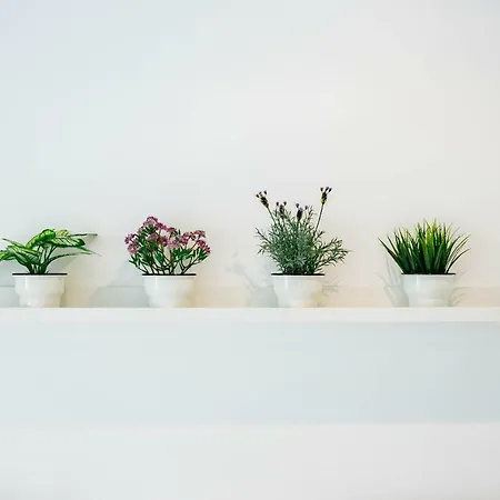 Your Second In Chiado Apartment Lissabon