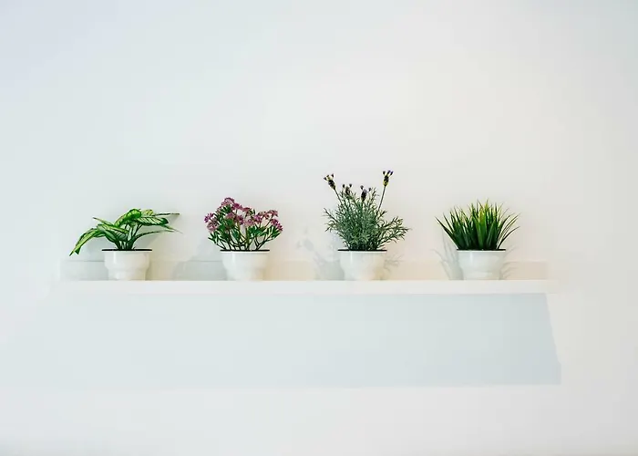 Your Second In Chiado 아파트 리스본